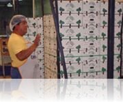 Aplicaciones del Fleje 8